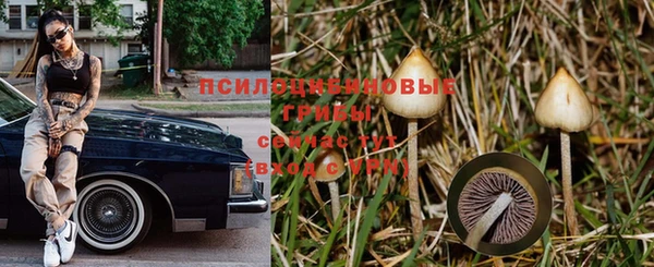 прущая мука Новодвинск
