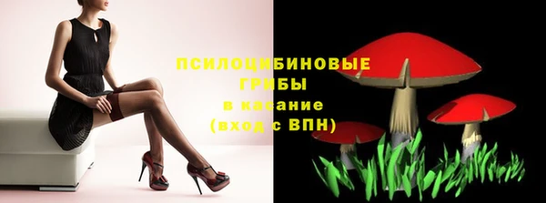 прущая мука Новодвинск