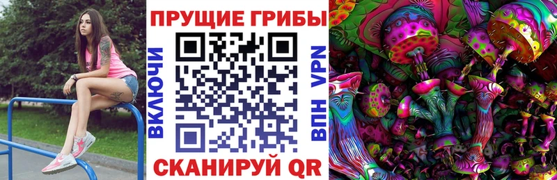 купить наркотики цена  Тайга  shop состав  Галлюциногенные грибы мицелий 